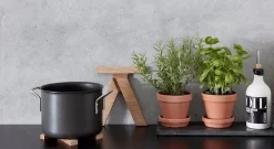 - Bordskåner - Eg (15x16 cm)*Andersen Furniture Clearance