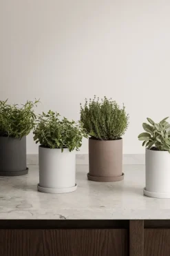 - Herb Pot - Bark - NONA*Blomus