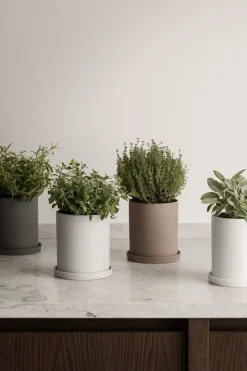 - Herb Pot - White - NONA^Blomus Clearance