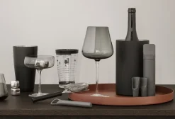 - ILO Vinprop - Magnet^Blomus Hot