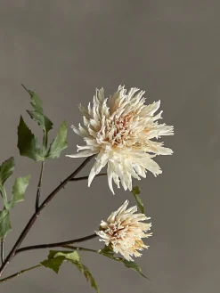 - Chrysantemum Kunstig stilk - Natur*Bloomingville New