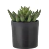 - Echeveria Kunstig Plante - Grøn, Plastik*Bloomingville Discount