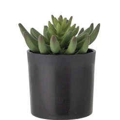 - Echeveria Kunstig Plante - Grøn, Plastik*Bloomingville Discount