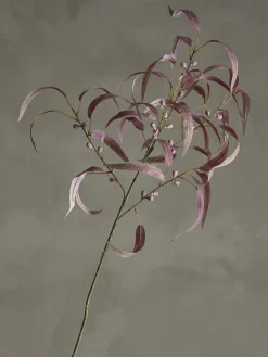 - Eucalyptus Kunstig stilk - Rød^Bloomingville Best