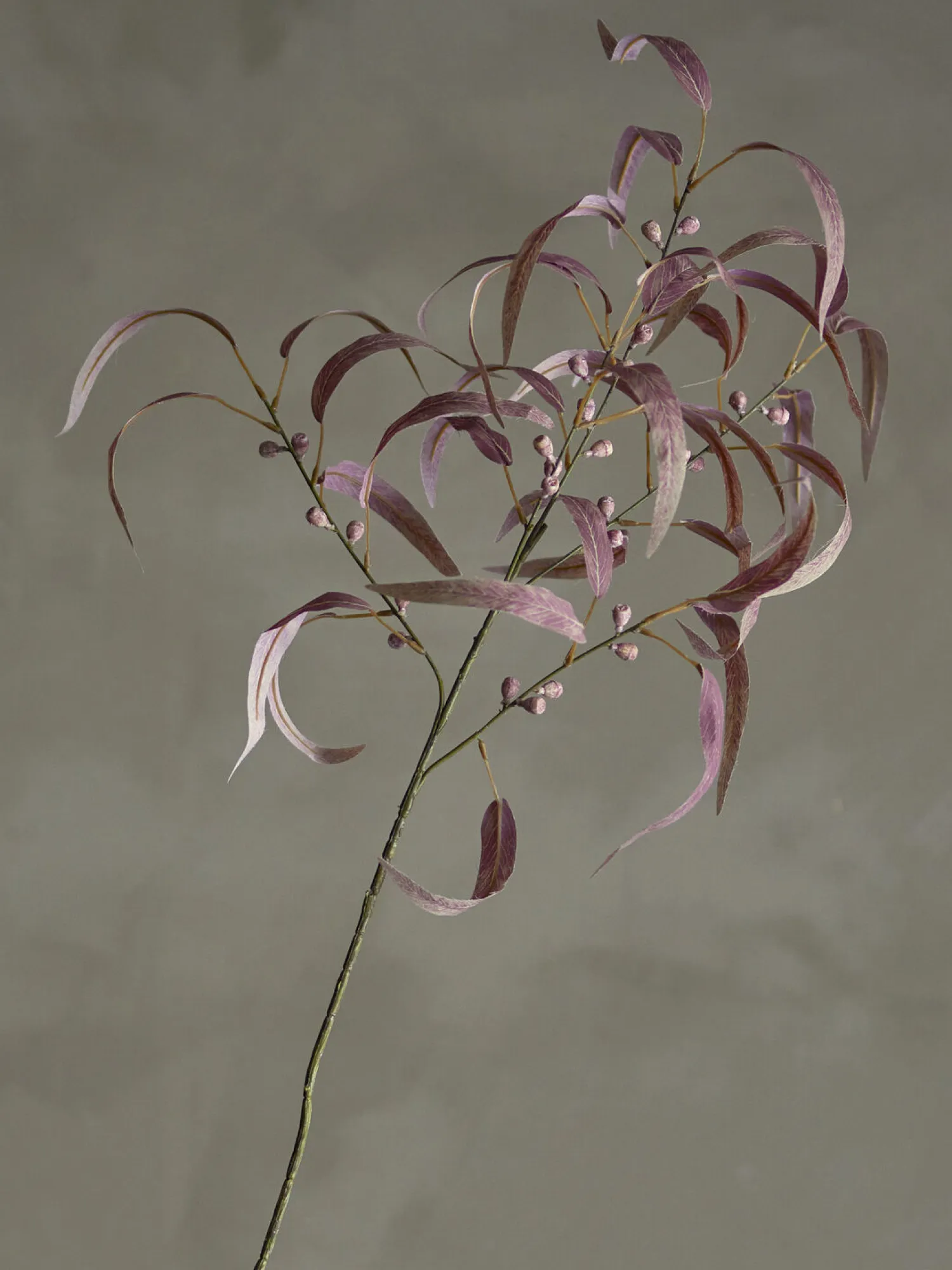 - Eucalyptus Kunstig stilk - Rød^Bloomingville Best