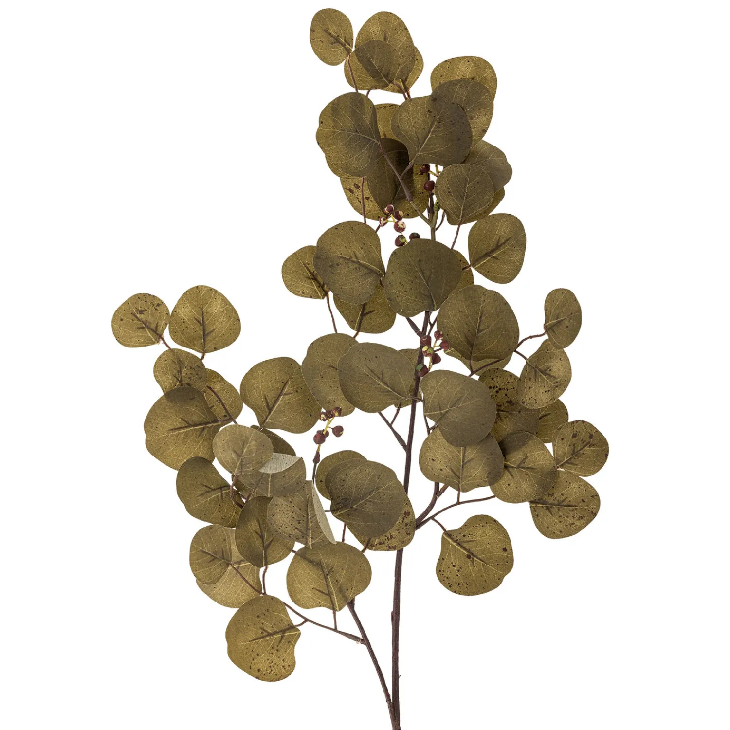 - Eucalyptus Kunstig stilk - Brun, Plastik^Bloomingville Discount