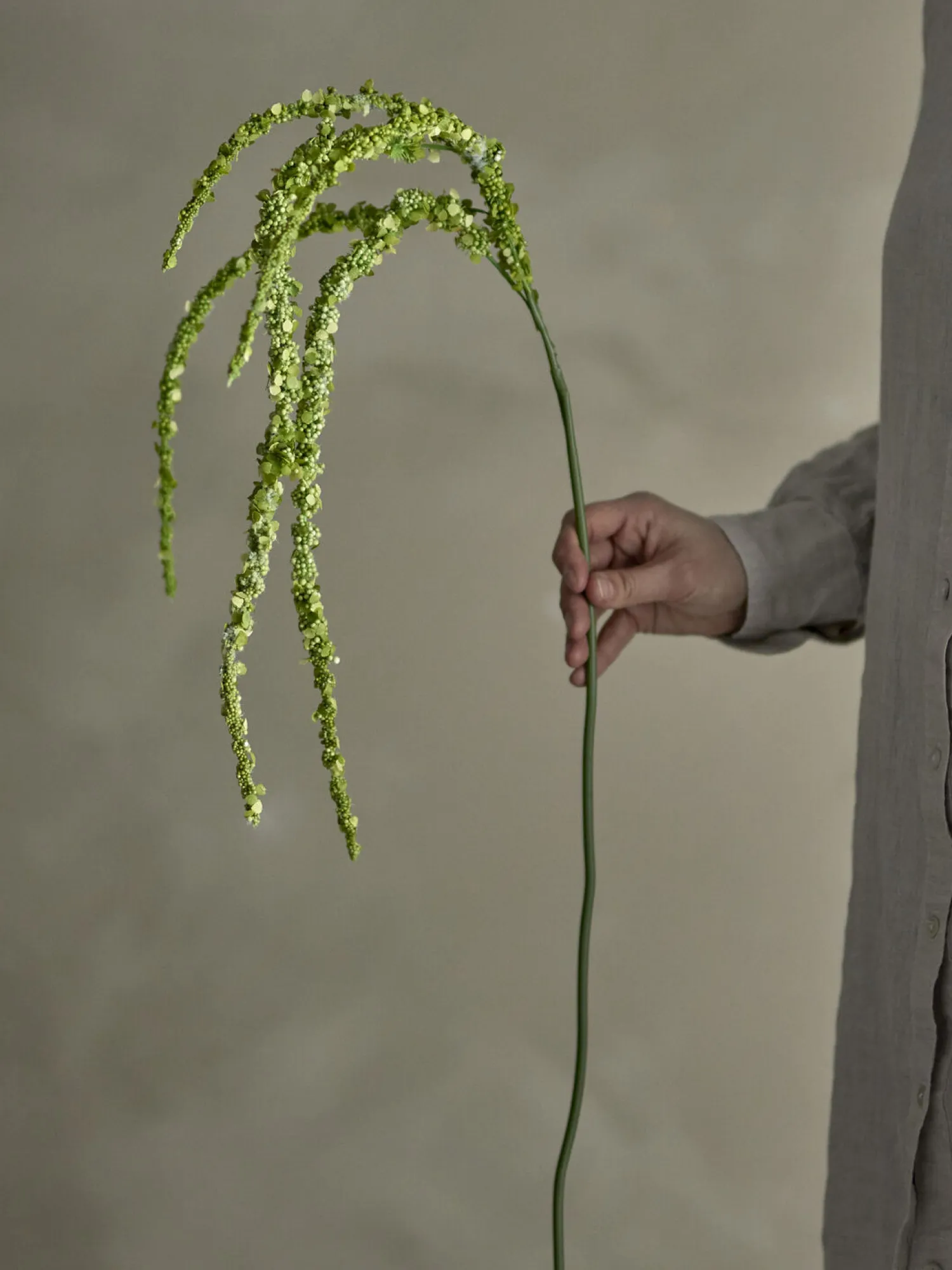 - Foxtail Kunstig stilk - Grøn, Plastik^Bloomingville Discount