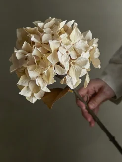 - Hydrangea Kunstig stilk - Hvid*Bloomingville Best