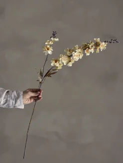 - Larkspur Kunstig stilk - Natur^Bloomingville Discount