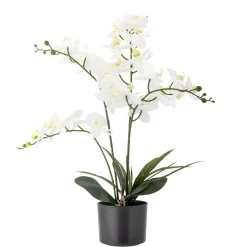 - Orchid Kunstig Plante*Bloomingville Hot