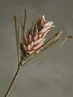 - Palmflower Kunstig stilk - Rosa, Plastik^Bloomingville Discount