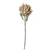- Protea Kunstig stilk - Natur*Bloomingville Outlet