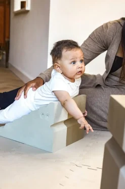 - Dino Sand grey^bObles New