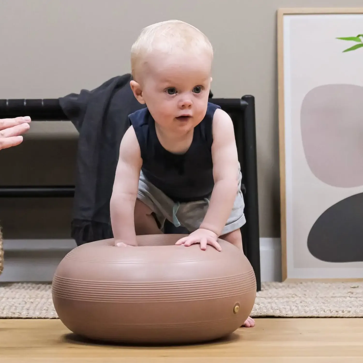 - Donut S Nutmeg^bObles Online