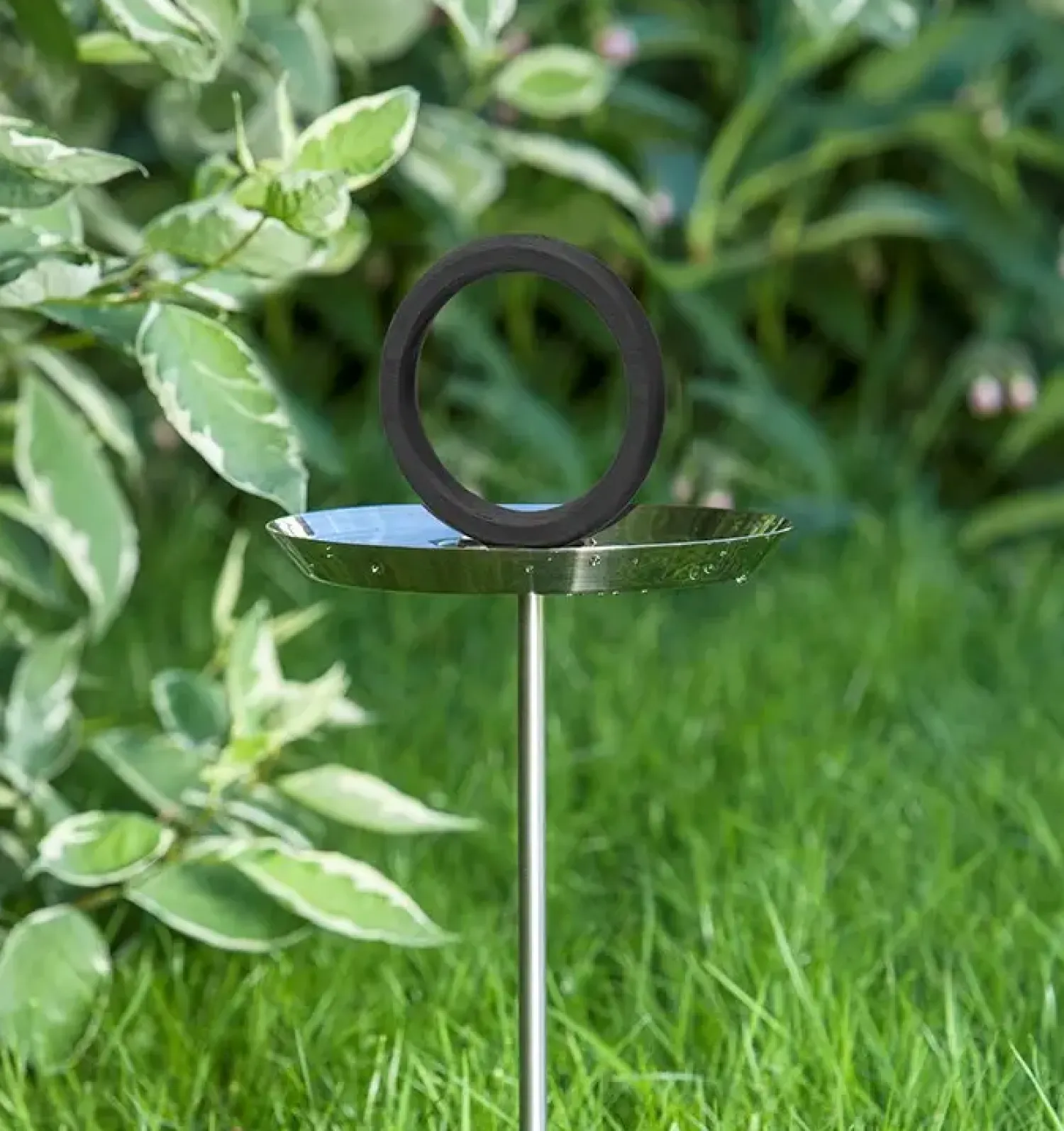 - Fuglebad*Born in Sweden Sale