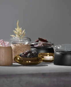 - Boletus - Eg - Amber - 12 cm^ChiCura Clearance