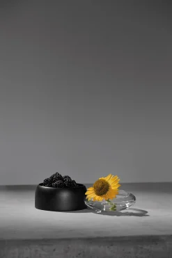 - Boletus - Sort - 12 cm^ChiCura Clearance