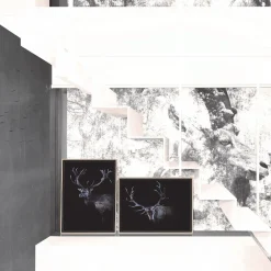 - Plakat "Dear Red Deer" - 50x70 cm^ChiCura Sale