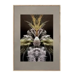 - Vintage Reflection CC1 - 50/70^ChiCura New