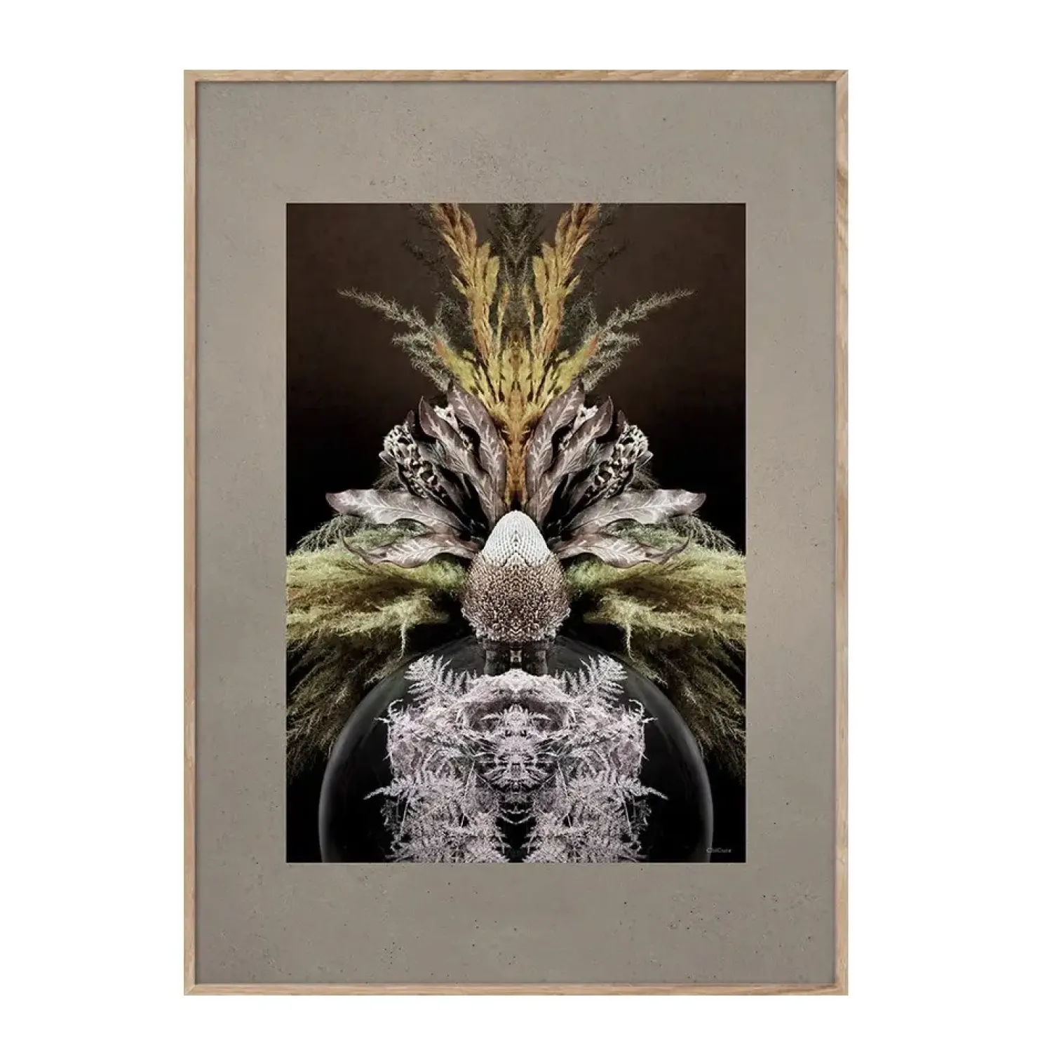 - Vintage Reflection CC1 - 50/70^ChiCura New