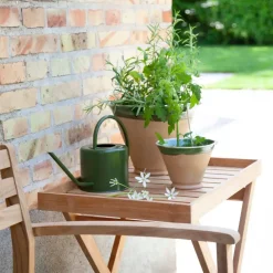 - Bakkebord 60x40cm teak^Cinas Outlet