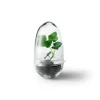 - Grow Greenhouse - Small*Design House Stockholm Online
