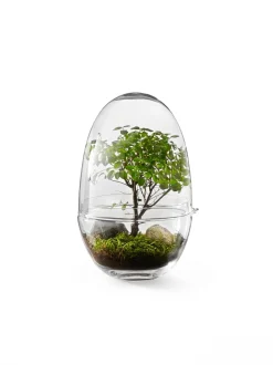 - Grow Greenhouse - X-Large - Ø: 20 cm, H: 32 cm*Design House Stockholm Sale