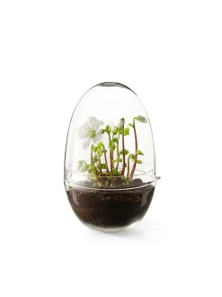 - Grow Greenhouse - X-Large - Ø: 20 cm, H: 32 cm*Design House Stockholm Sale