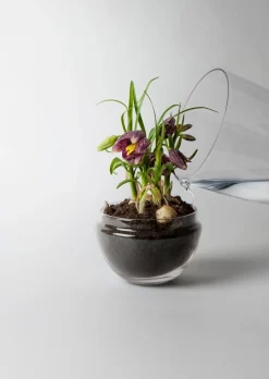 - Grow Greenhouse - Medium*Design House Stockholm Hot