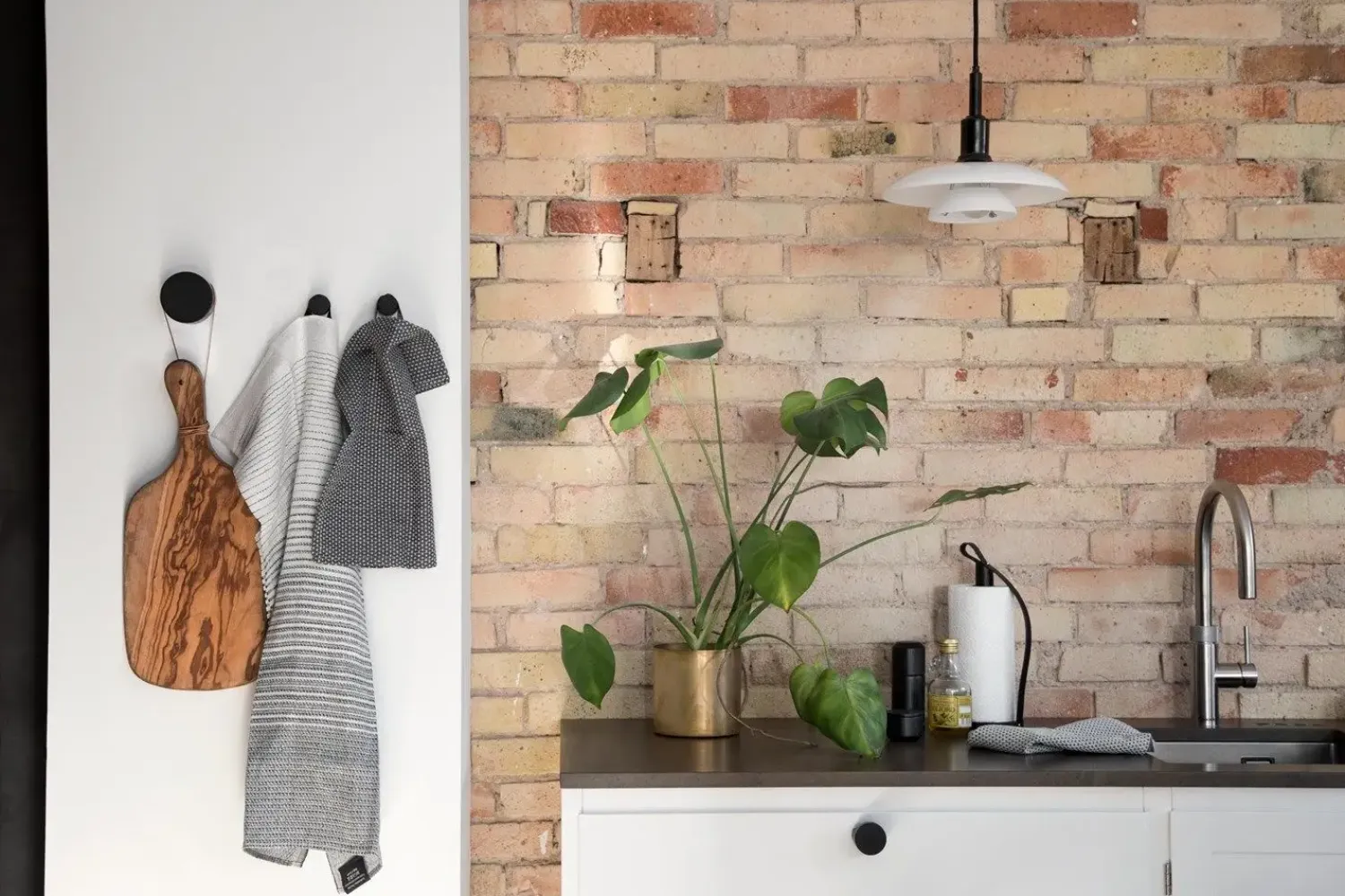 Ekta Living - Knage i sort eg - Wood Knot - Medium*By Wirth Online