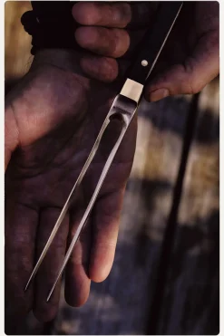 - C-Fork Stegegaffel^Endeavour Hot