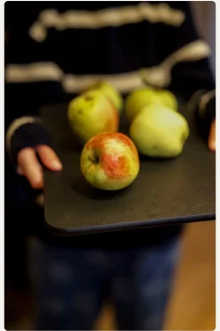 - Skærebræt - Longboard - 45 cm^Endeavour Discount