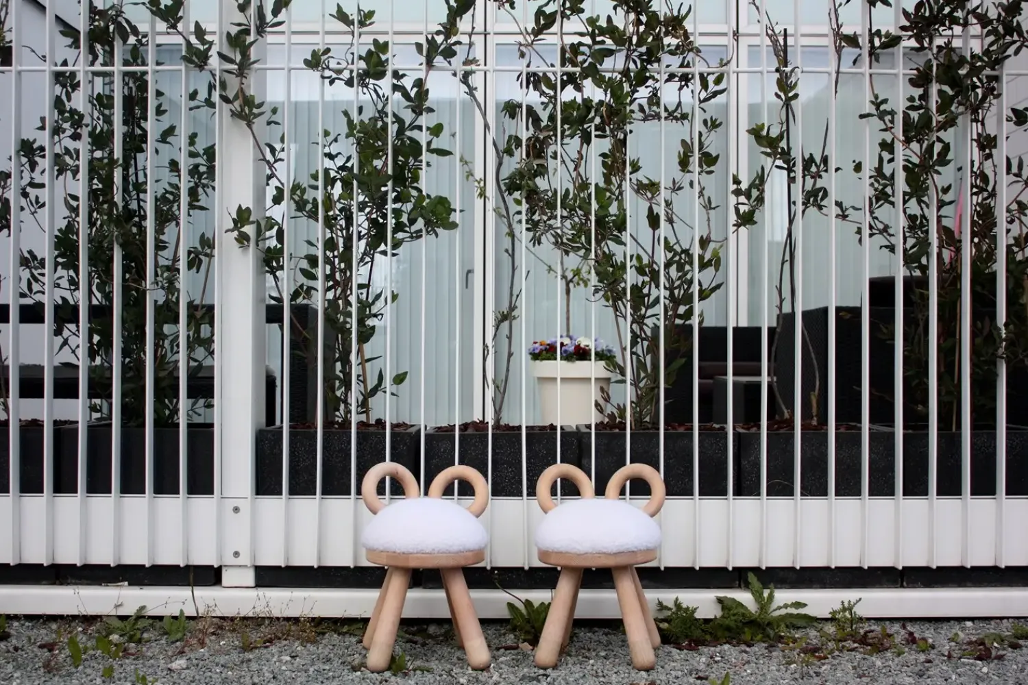 - skammel - får^EO Play Clearance