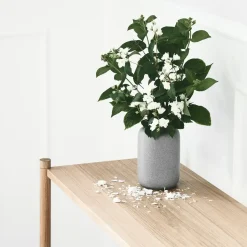 - Sceene reol D - Lys eg*Gejst Sale