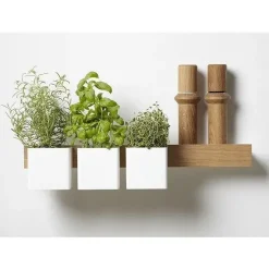 box - Flex Small Box i sort^Gejst Clearance