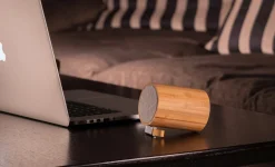 - Drum Light Bluetooth Speaker Natural Bamboo Wood^Gingko Clearance