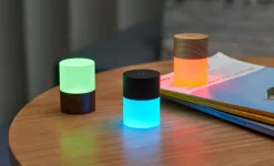 - Large Lemelia Light White Ash^Gingko New