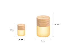 - Large Lemelia Light White Ash^Gingko New