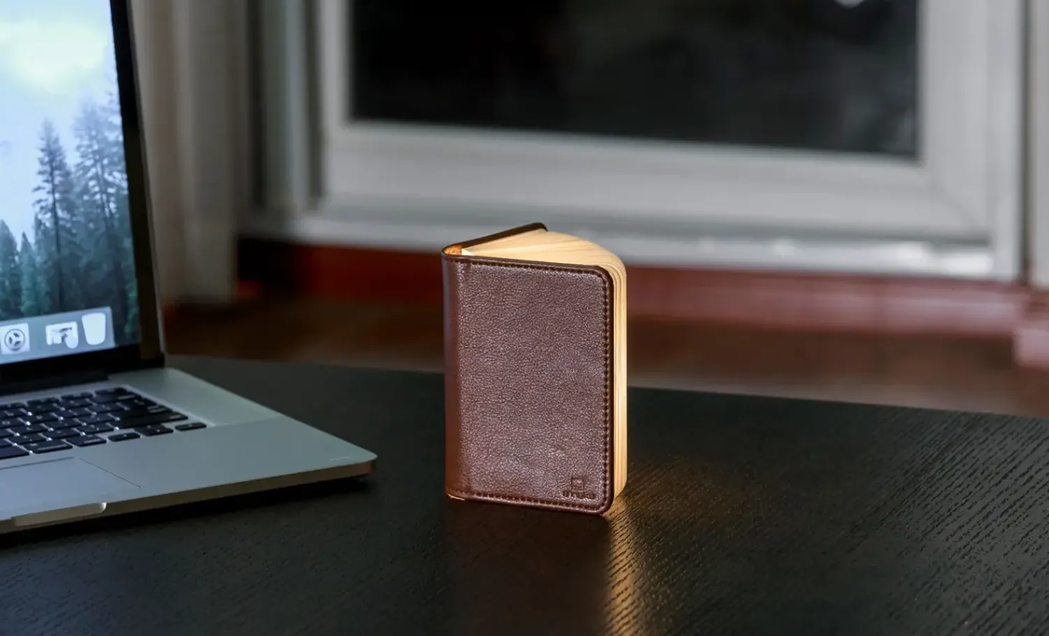 - LED Smart Booklight - Brown Leather - Mini^Gingko Best