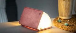 - LED Smart Fabric Booklight - Blush Pink - Mini*Gingko Best
