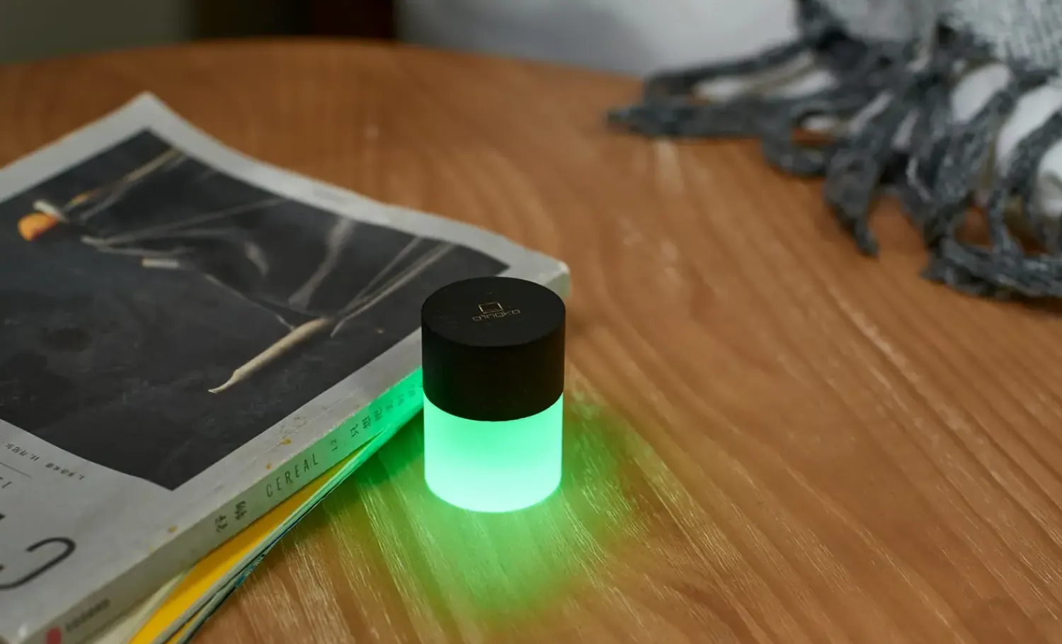 - Lemelia Light - Black^Gingko Outlet