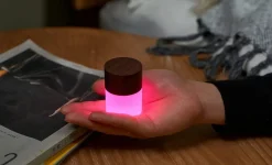 - Lemelia Light - Walnut - Mini*Gingko Discount