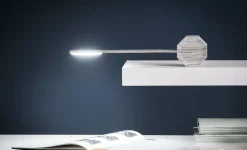 - Octagon One - Ash*Gingko Best