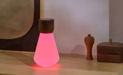 - Pentagon Light bulb Lamp Large Natural Walnut Wood*Gingko Hot