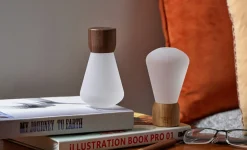 - Pentagon Light bulb Lamp Mini White Ash Wood^Gingko Hot