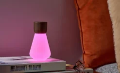 - Pentagon Light bulb Lamp Mini Natural Walnut Wood*Gingko Clearance