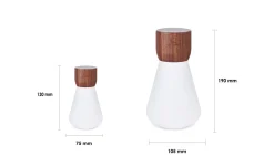 - Pentagon Light bulb Lamp Mini Natural Walnut Wood*Gingko Clearance