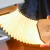- Smart Accordion Lamp Bamboo*Gingko Sale