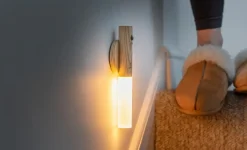 - Smart Baton Light White Ash*Gingko New