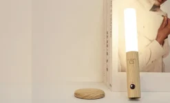 - Smart Baton Light White Ash*Gingko New